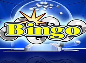 Bingo
